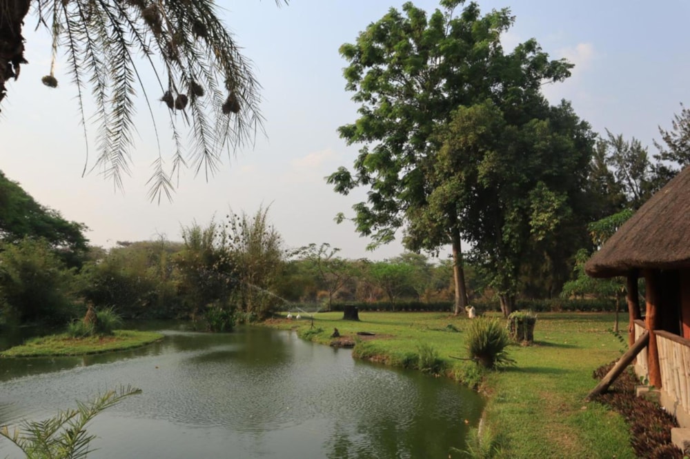 Poultry farm for sale in Leopards Hill, Zambia - 3ZA1682409 Poultry farm for sale in Leopards Hill, Zambia - 3ZA1682409