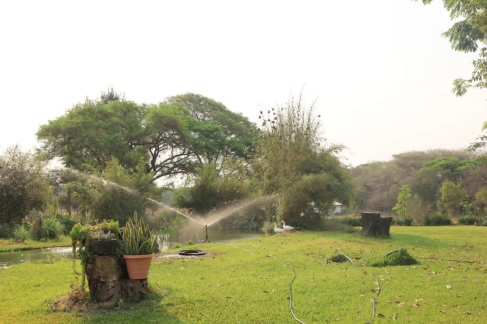 Poultry farm for sale in Leopards Hill, Zambia - 3ZA1682409