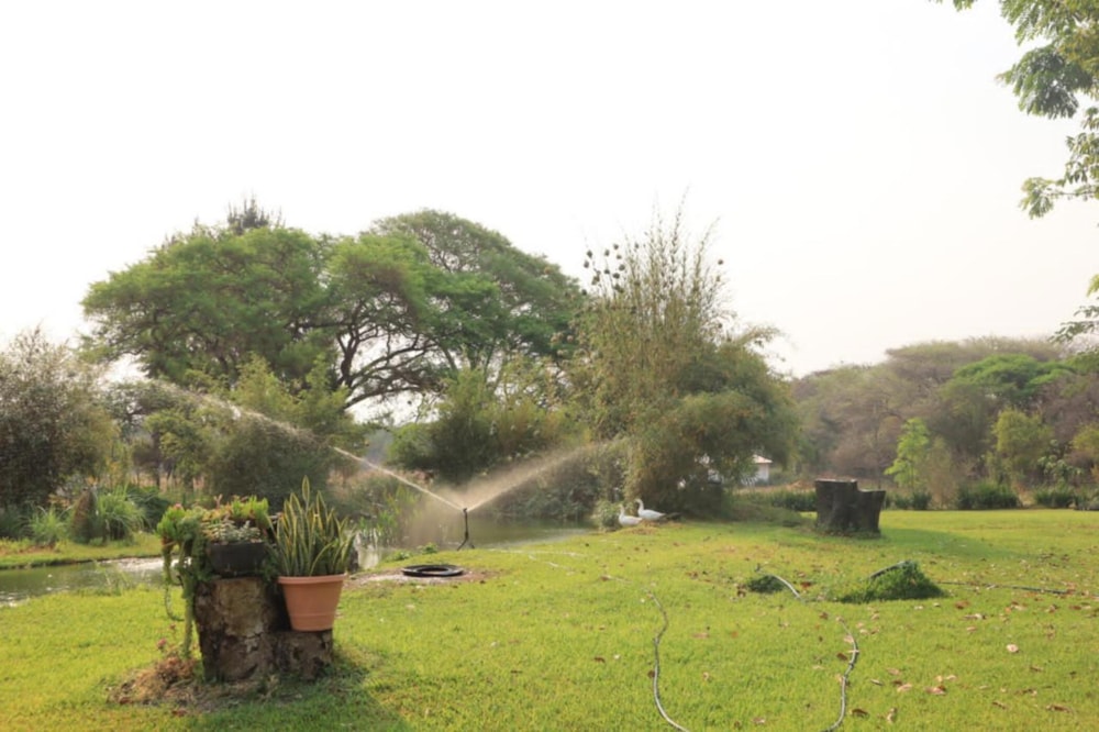 Poultry farm for sale in Leopards Hill, Zambia - 3ZA1682409 Poultry farm for sale in Leopards Hill, Zambia - 3ZA1682409