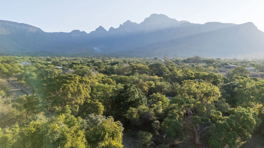 Residential vacant land sold in Kampersrus - 1HS1682478 Residential vacant land sold in Kampersrus - 1HS1682478