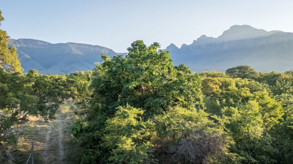 Residential vacant land sold in Kampersrus - 1HS1682478 Residential vacant land sold in Kampersrus - 1HS1682478