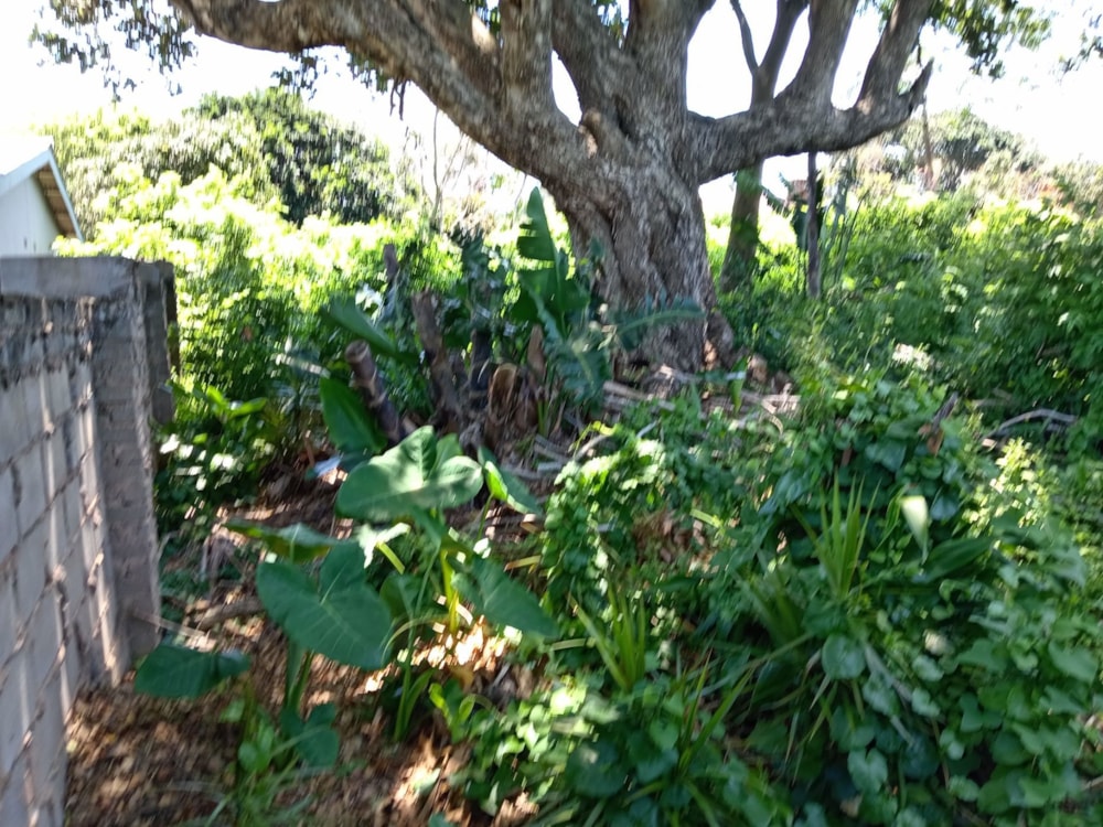 Vacant land for sale in Anerley - 1PSH1682941 Vacant land for sale in Anerley - 1PSH1682941