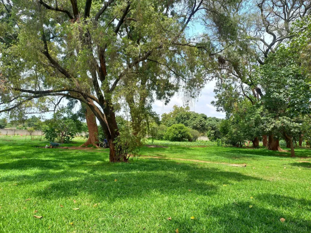 House for sale in Lilayi, Zambia - 3ZA1682891