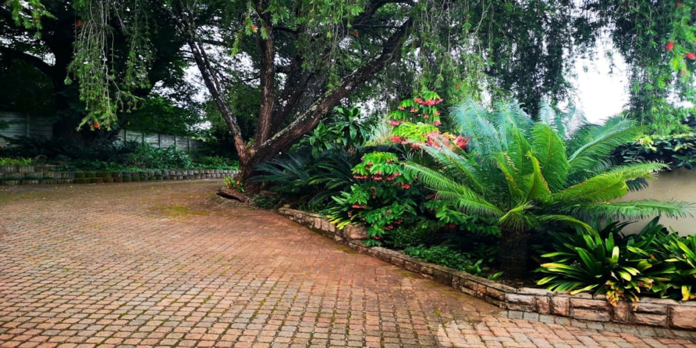 House for sale in Sabie - 1LY1683099 House for sale in Sabie - 1LY1683099