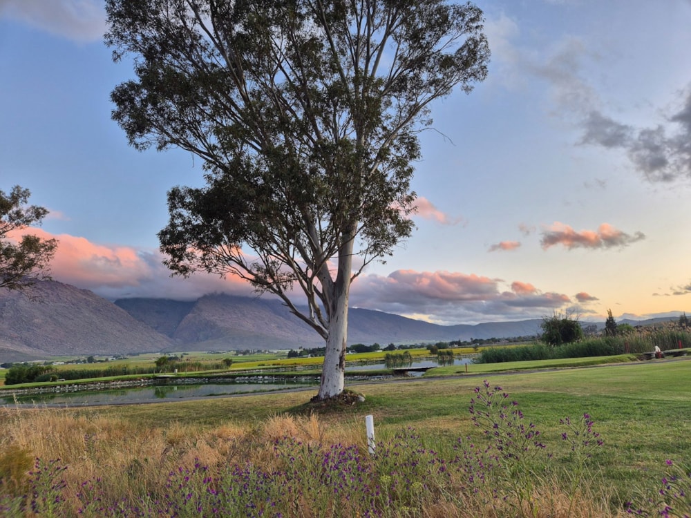 Vacant land for sale in De Doorns - TK1682906 Vacant land for sale in De Doorns - TK1682906