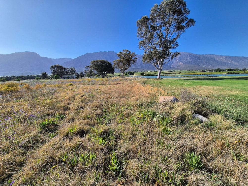 Vacant land for sale in De Doorns - TK1682906 Vacant land for sale in De Doorns - TK1682906