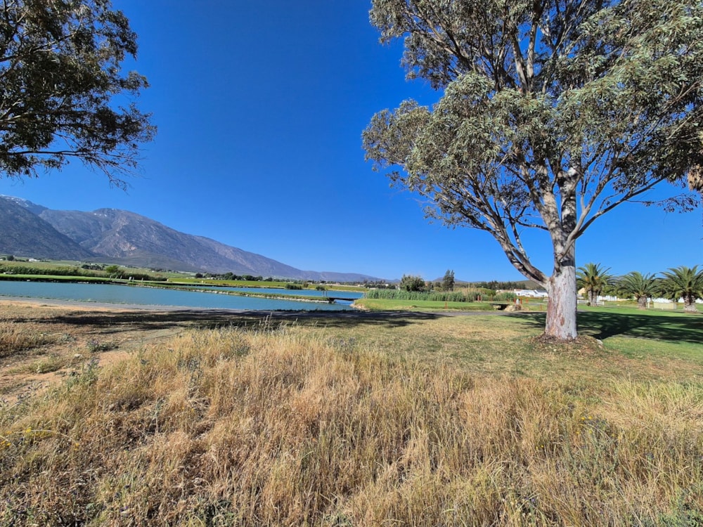 Vacant land for sale in De Doorns - TK1682910 Vacant land for sale in De Doorns - TK1682910