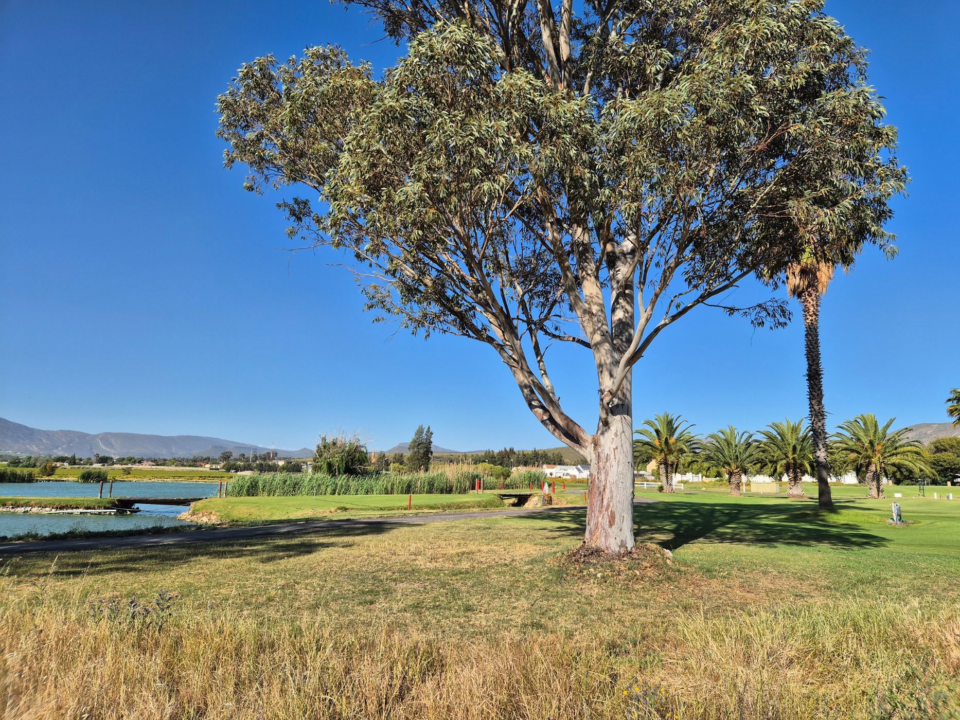 Vacant land for sale in De Doorns - TK1682910