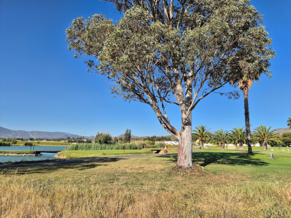 Vacant land for sale in De Doorns - TK1682910