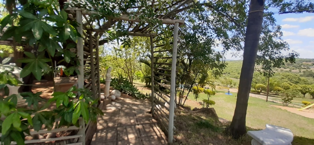 Guesthouse for sale in Tzaneen, Limpopo Province - 1TA1683552