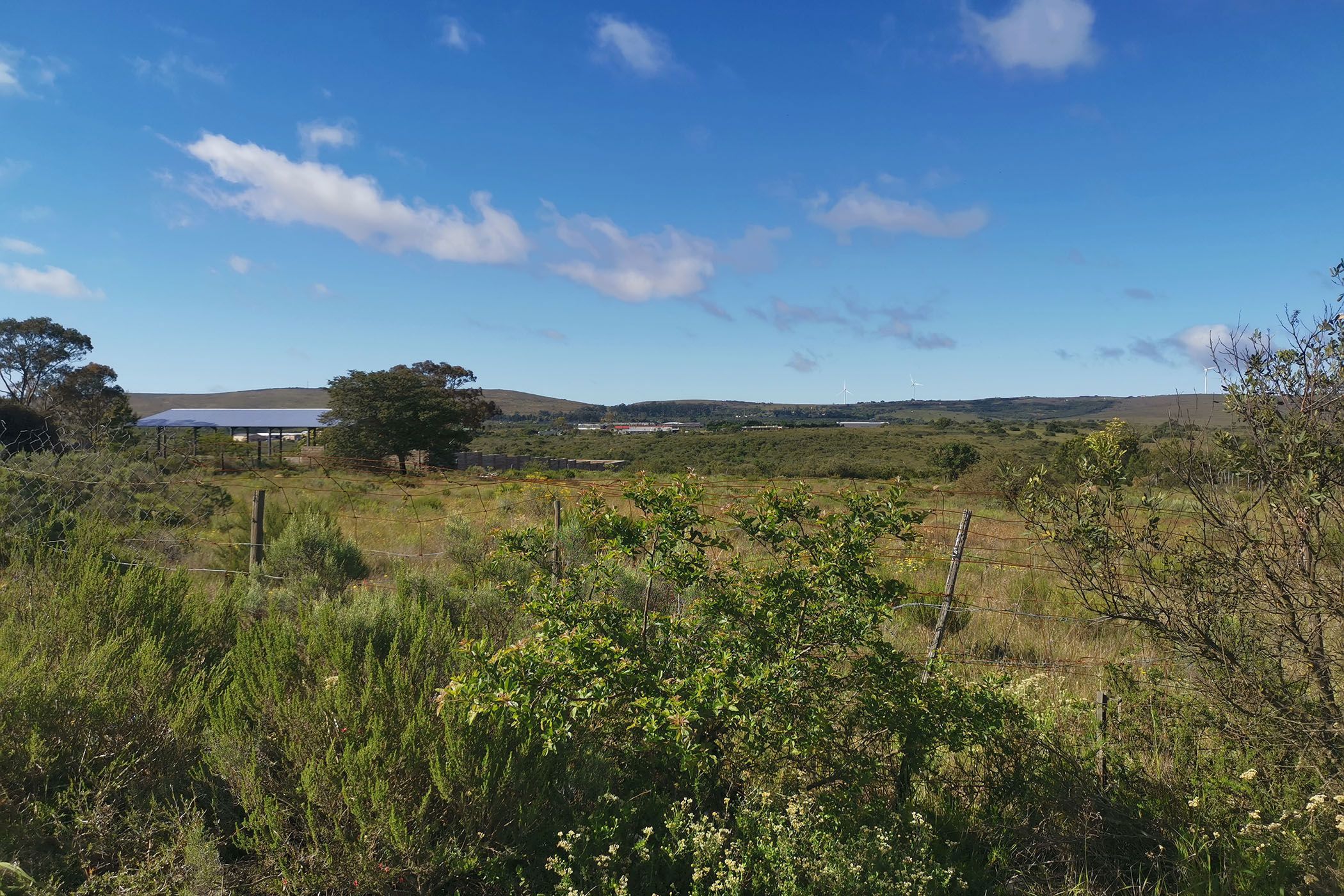 Vacant land for sale in Grahamstown (Makhanda) - 1GC1680992