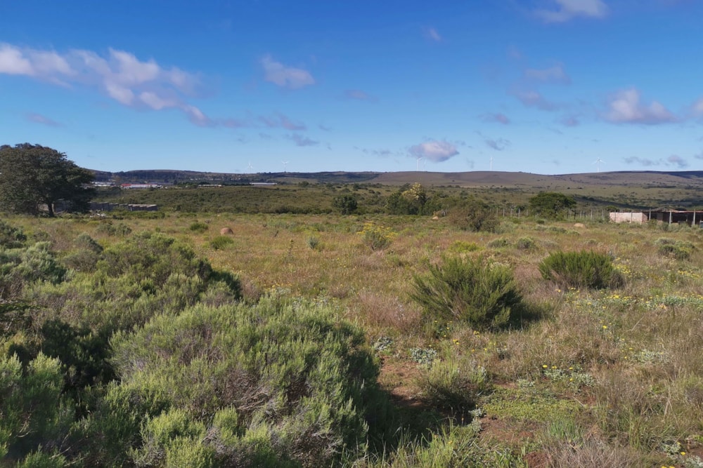 Vacant land for sale in Grahamstown (Makhanda) - 1GC1680992 Vacant land for sale in Grahamstown (Makhanda) - 1GC1680992