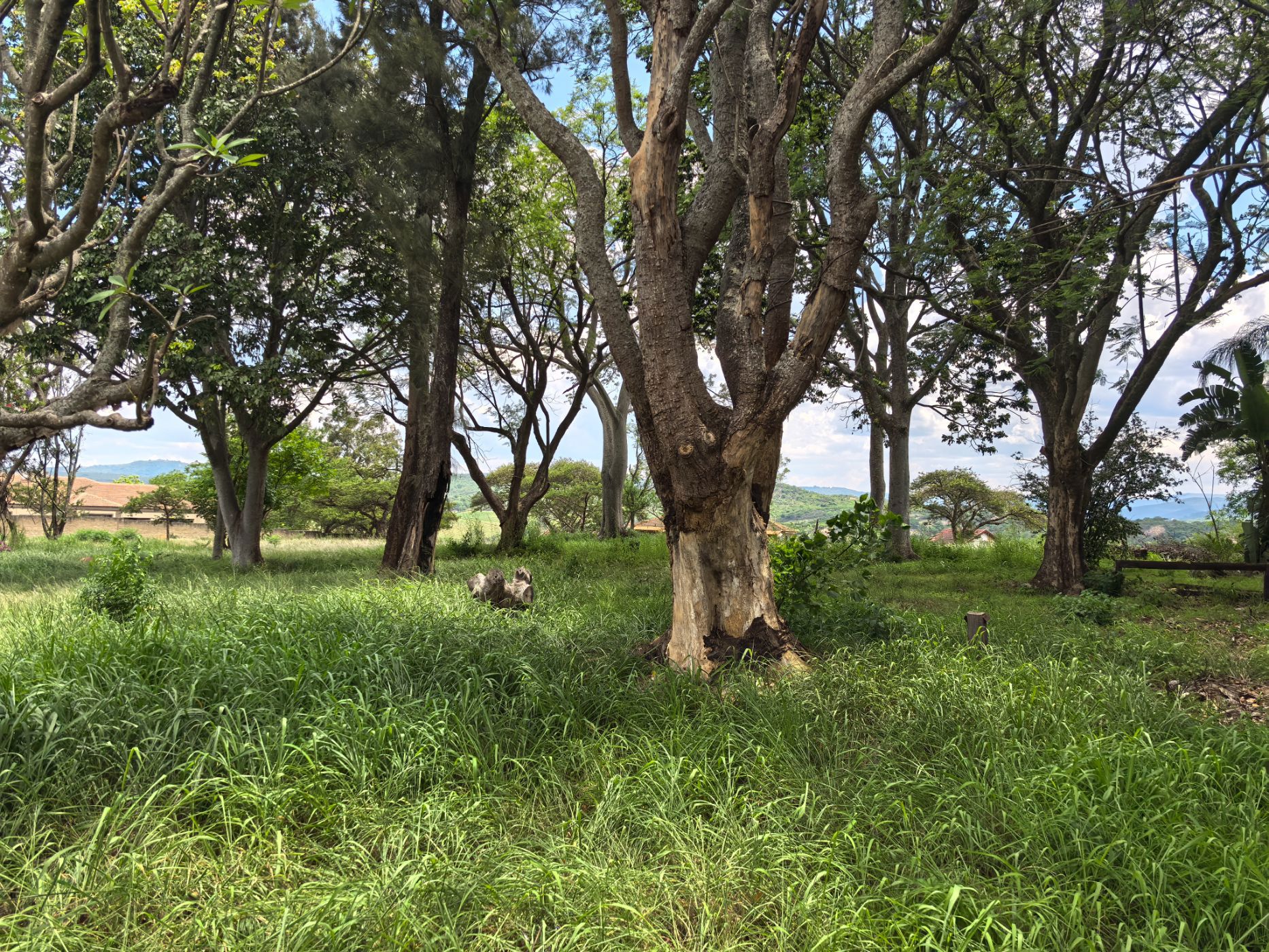 Residential vacant land for sale in Stonehenge - 1NS1683184