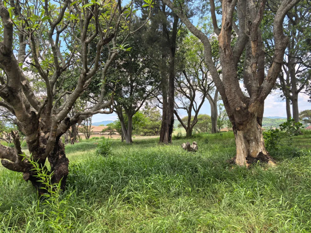Residential vacant land for sale in Stonehenge - 1NS1683184
