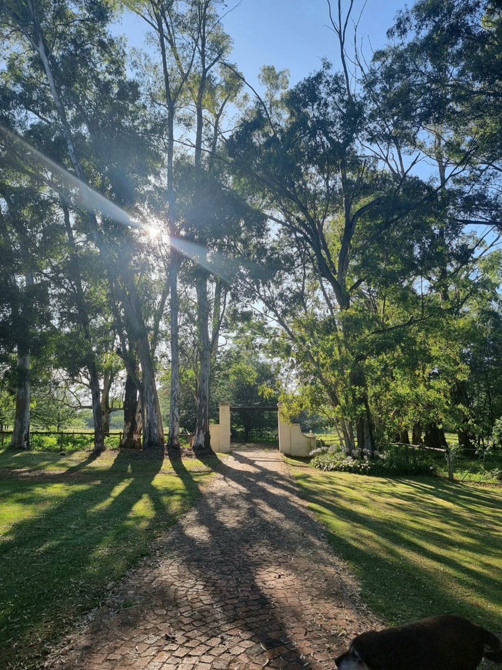 Lifestyle property for sale in Benoni AH - EN1549595 Lifestyle property for sale in Benoni AH - EN1549595