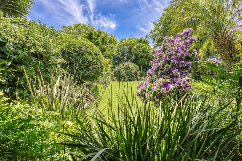 House sold in Welgemoed - DBV1679422 House sold in Welgemoed - DBV1679422