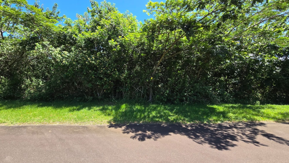 Residential vacant land sold in Sea Park, Umtentweni - 1PSH1683260 Residential vacant land sold in Sea Park, Umtentweni - 1PSH1683260