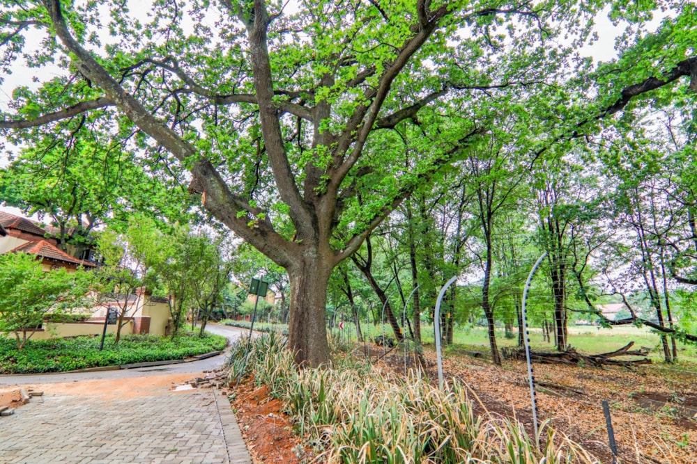 Golf estate house sold in Centurion Golf Estate - CN1681819