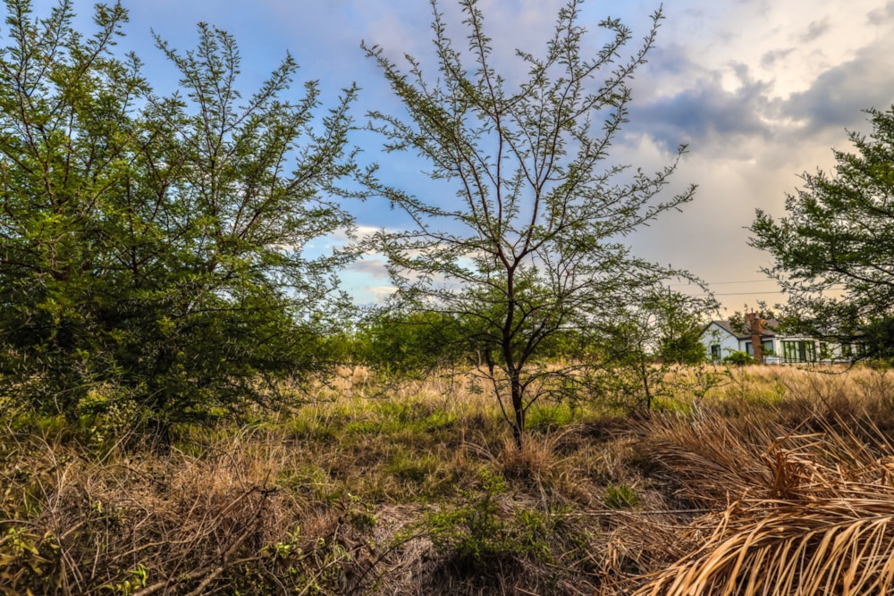 Vacant land for sale in Westlake, Hartbeespoort - 1HR1682565