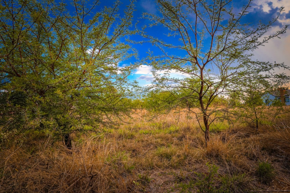 Vacant land for sale in Westlake, Hartbeespoort - 1HR1682565