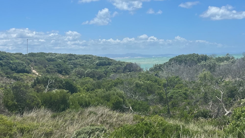 Vacant land sold in Paradise Beach, Jeffreys Bay - 1JF1683160 Vacant land sold in Paradise Beach, Jeffreys Bay - 1JF1683160