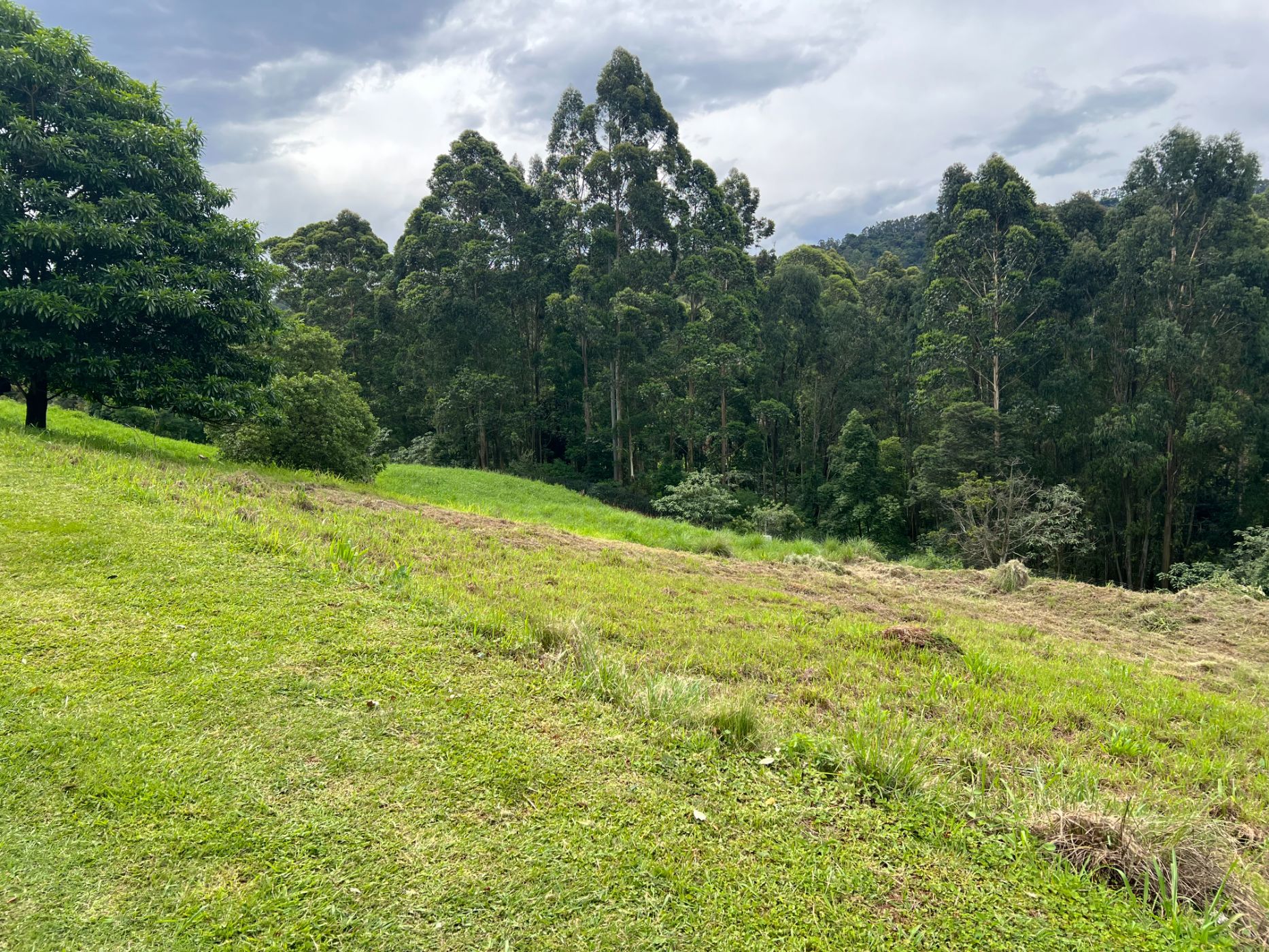 Vacant land for sale in Victoria Country Club Estate - 1PM1683453