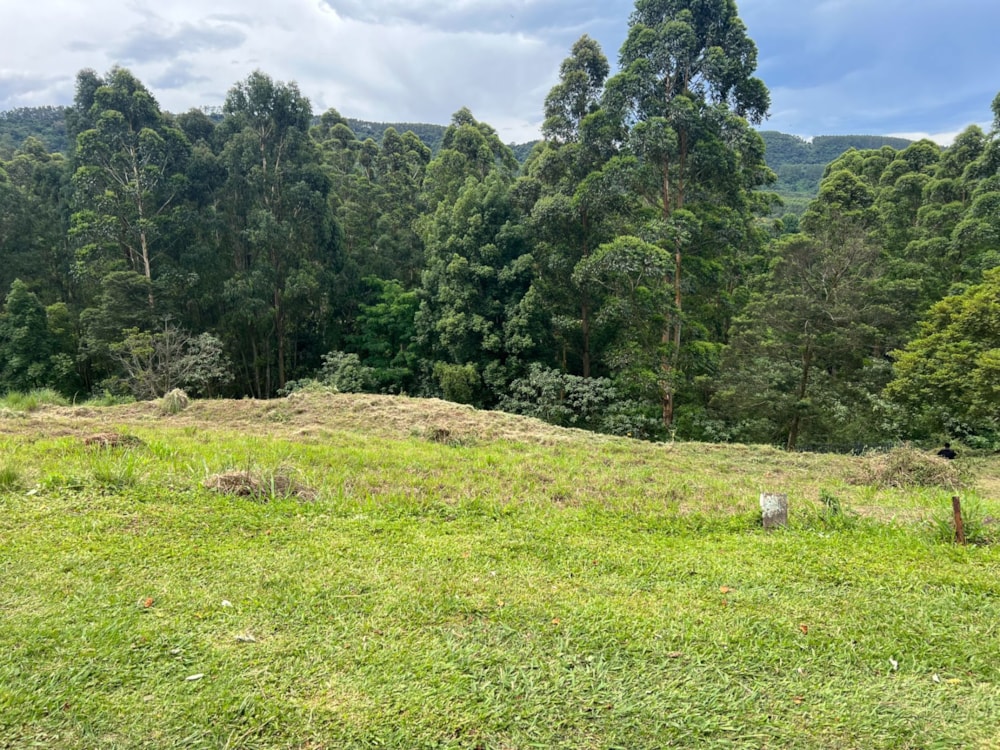 Vacant land for sale in Victoria Country Club Estate - 1PM1683453