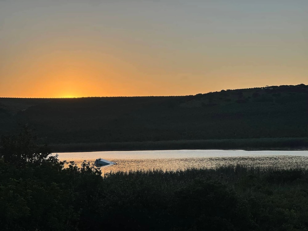 Vacant land sold in Camperdown - 1PM1655815