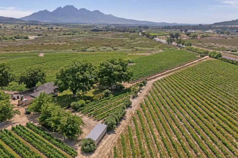 Lifestyle property for sale in Franschhoek Rural - FWI1682237 Lifestyle property for sale in Franschhoek Rural - FWI1682237