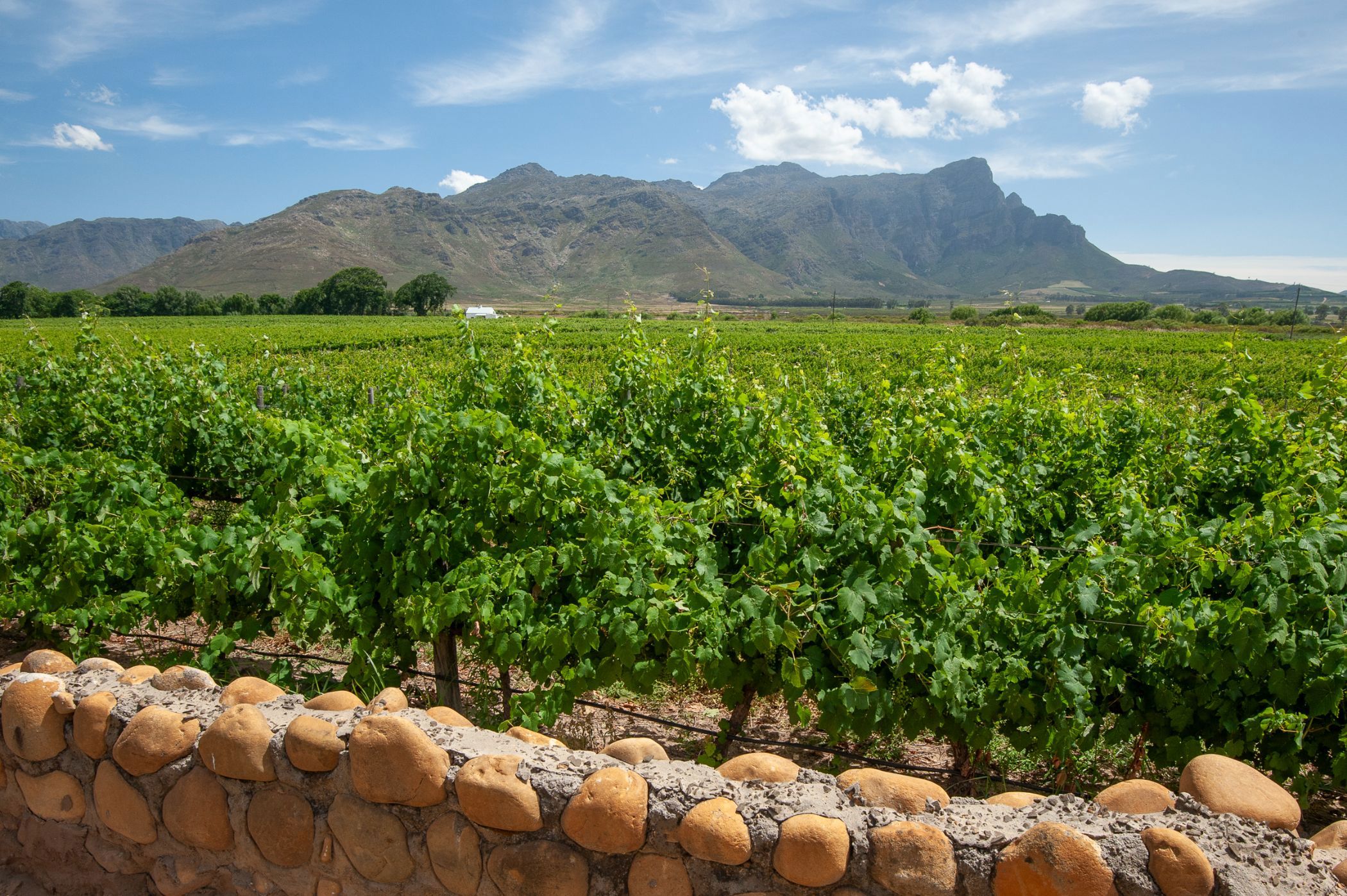 Lifestyle property for sale in Franschhoek Rural - FWI1682237