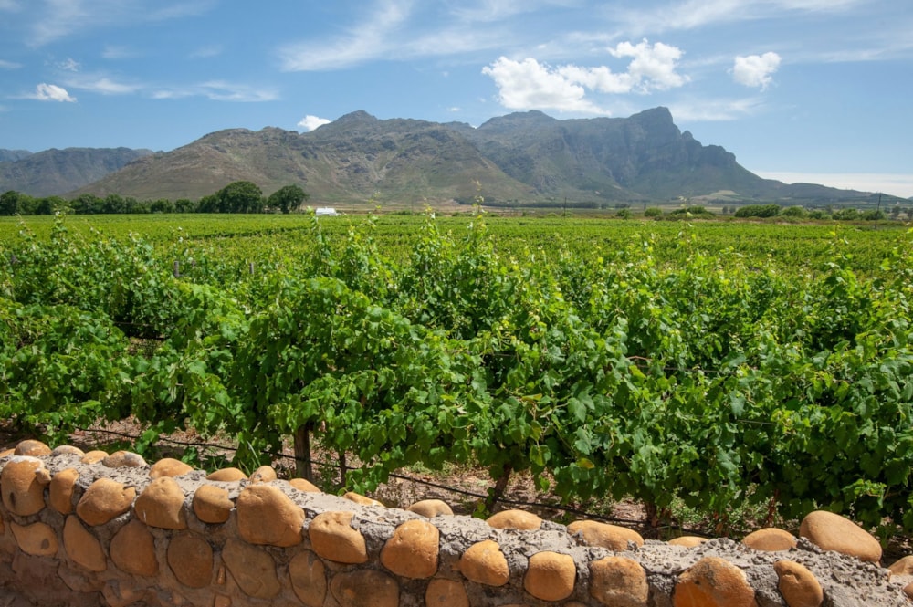 Lifestyle property for sale in Franschhoek Rural - FWI1682237