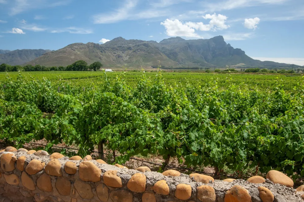 Lifestyle property for sale in Franschhoek Rural - FWI1682237 Lifestyle property for sale in Franschhoek Rural - FWI1682237