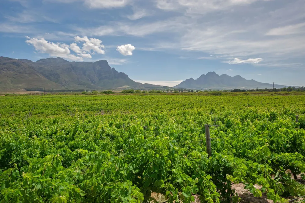 Lifestyle property for sale in Franschhoek Rural - FWI1682237 Lifestyle property for sale in Franschhoek Rural - FWI1682237