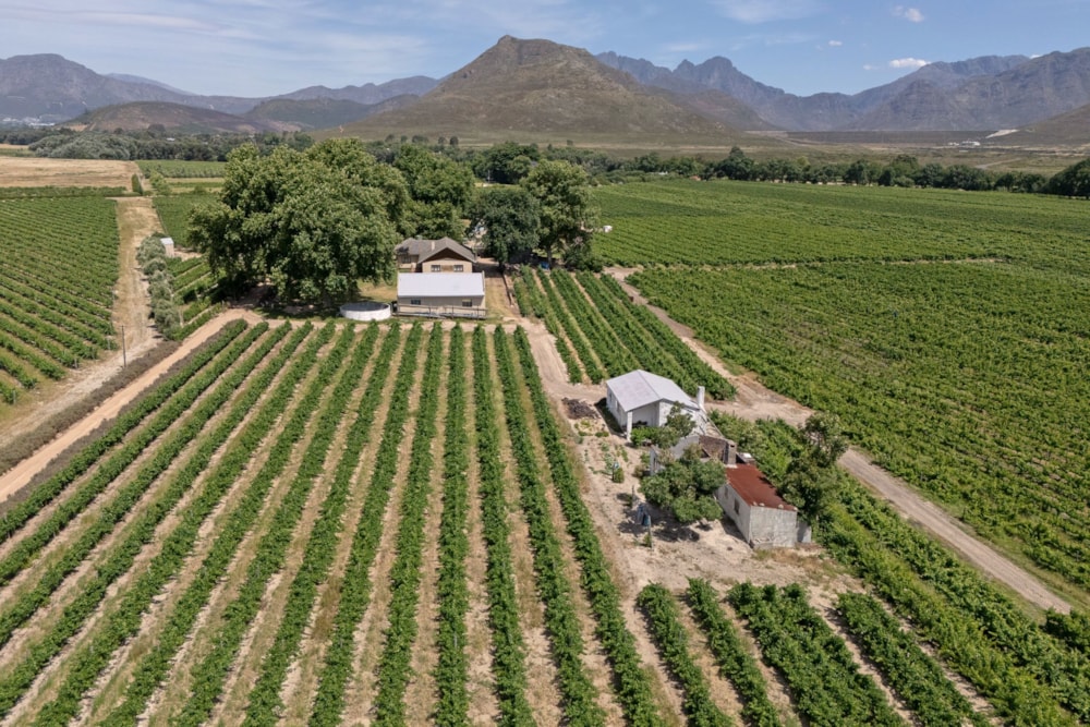 Lifestyle property for sale in Franschhoek Rural - FWI1682237