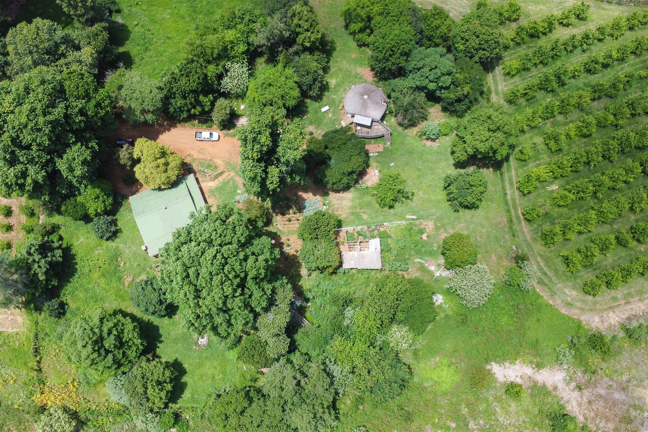 Citrus farm for sale in Richmond, Midlands, Rural - 1PM1736342