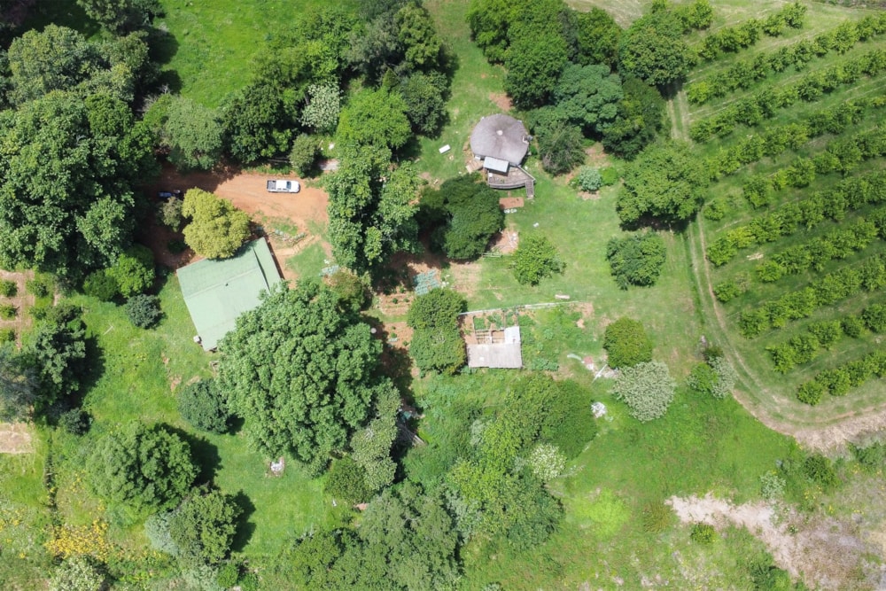 Citrus farm for sale in Richmond, Midlands, Rural - 1PM1736342