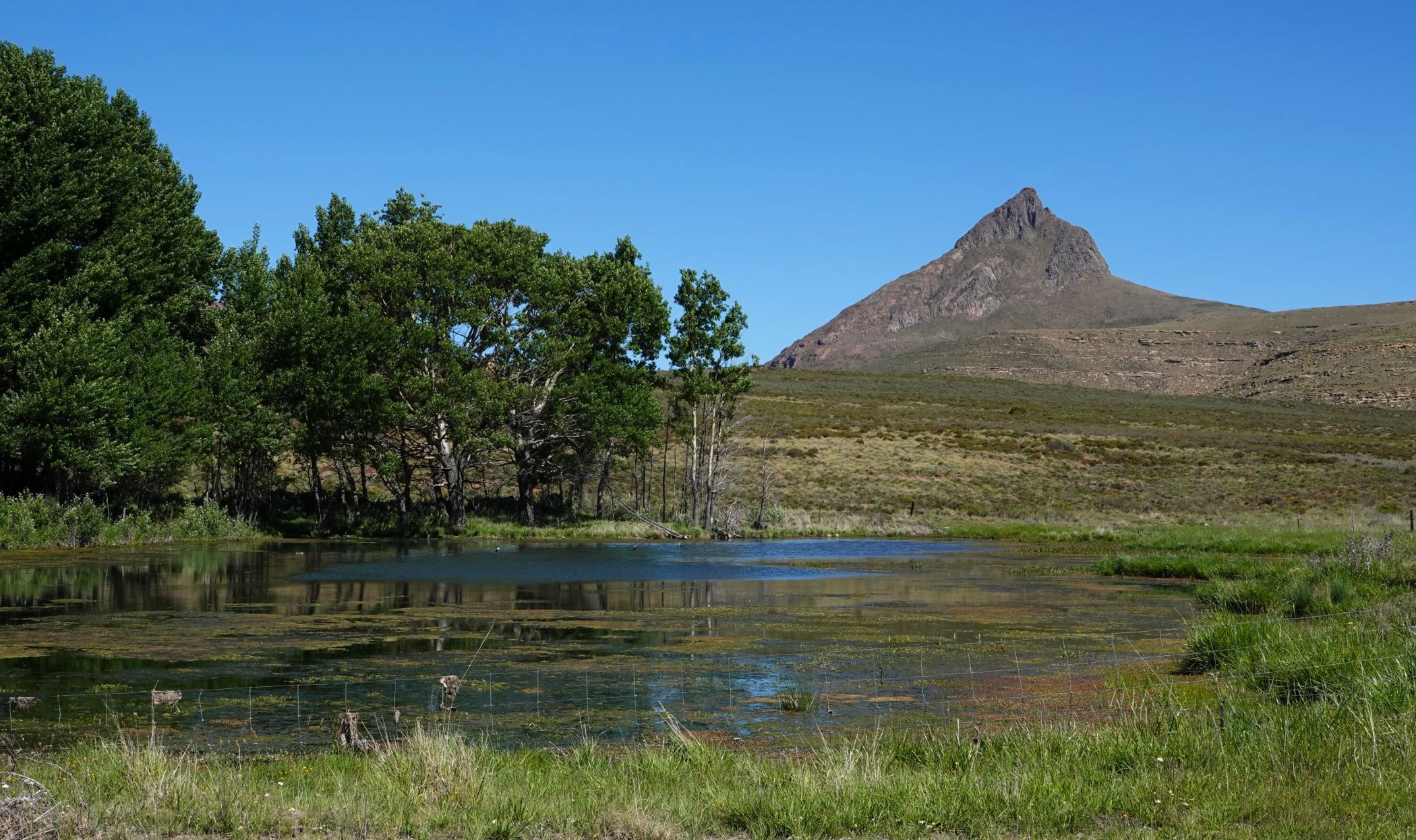 Livestock farm for sale in Graaff-Reinet Rural - 1KK1684804