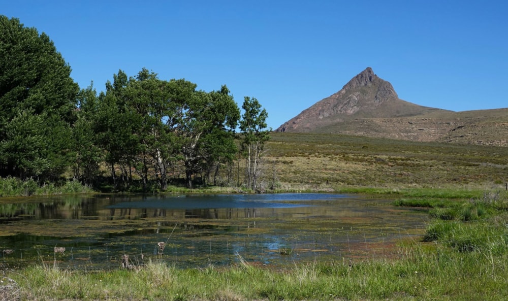 Livestock farm for sale in Graaff-Reinet Rural - 1KK1684804