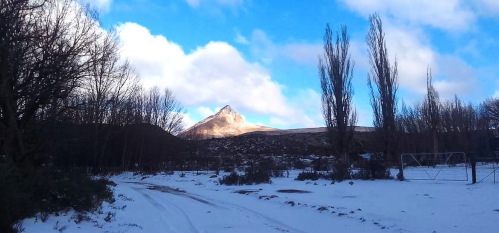 Livestock farm for sale in Graaff-Reinet Rural - 1KK1684804 Livestock farm for sale in Graaff-Reinet Rural - 1KK1684804