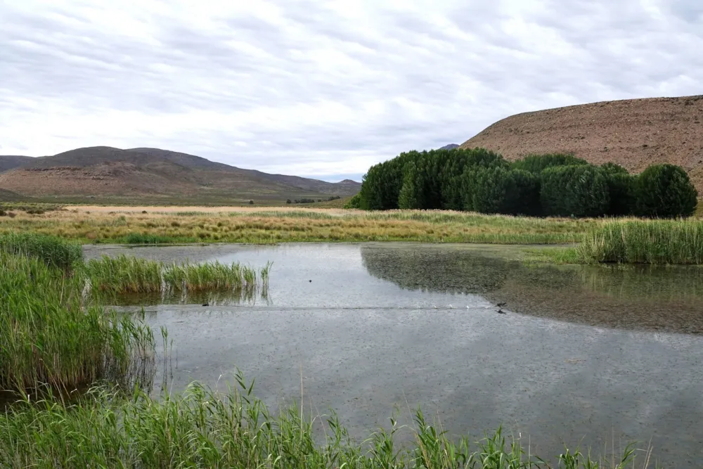 Livestock farm sold in Graaff-Reinet Rural - 1KK1684804 Livestock farm sold in Graaff-Reinet Rural - 1KK1684804