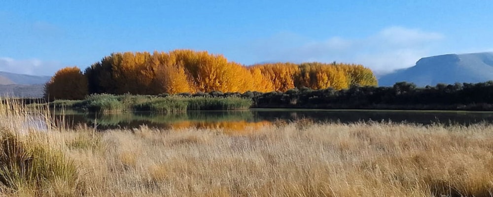 Livestock farm for sale in Graaff-Reinet Rural - 1KK1684804 Livestock farm for sale in Graaff-Reinet Rural - 1KK1684804