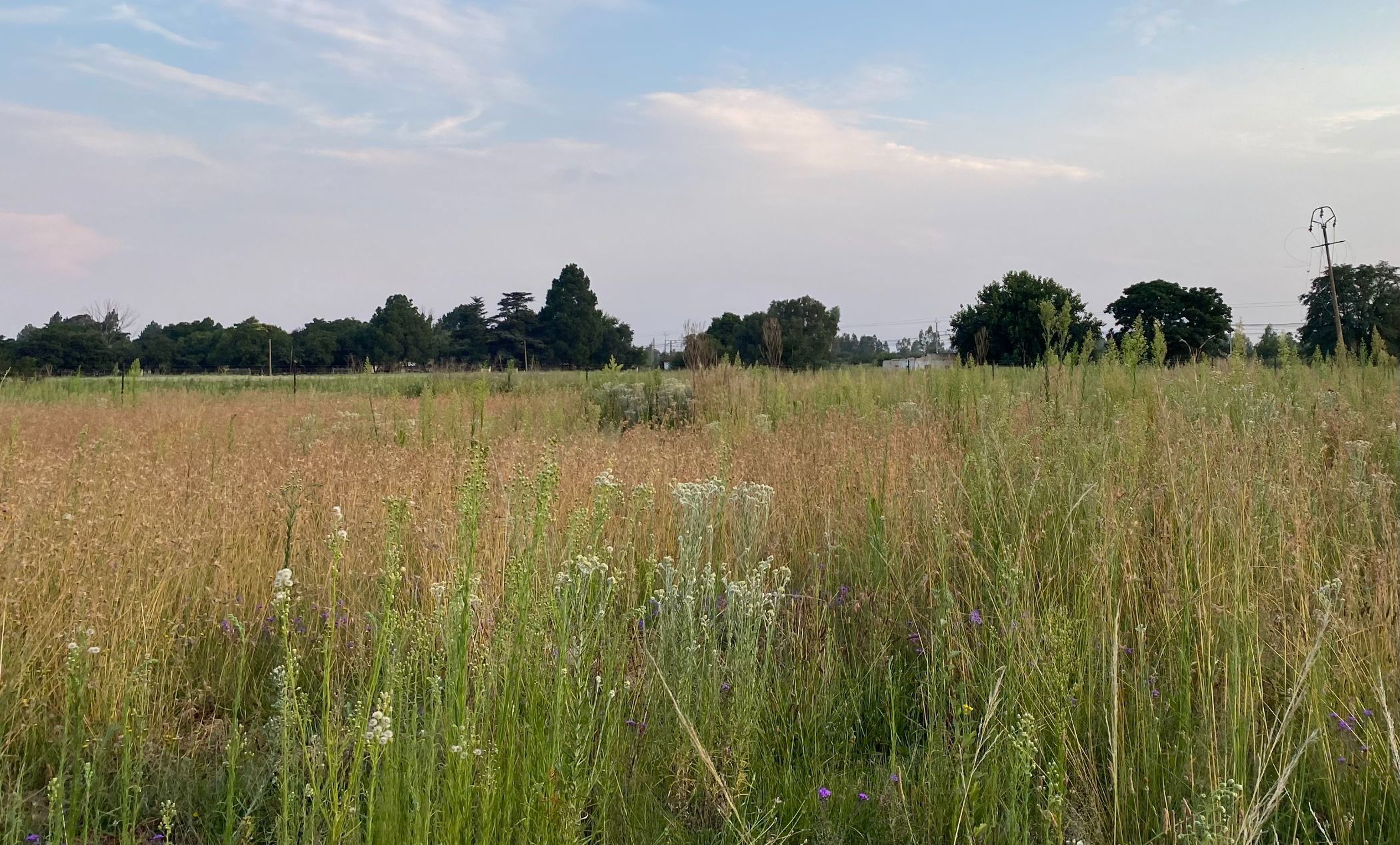 Vacant land for sale in Unitas Park - 1VT1683332