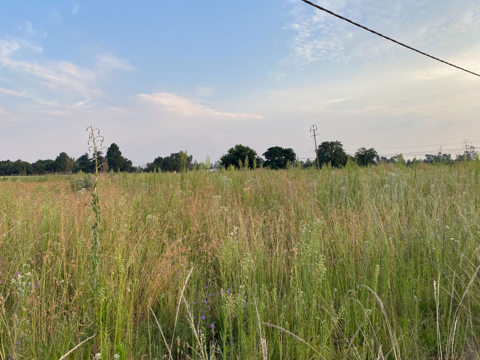 Vacant land for sale in Unitas Park - View 3