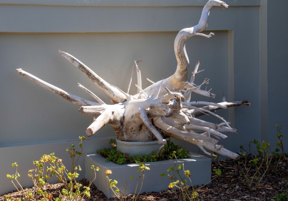 Vacant land for sale in Kenton on Sea - 1KO1683876