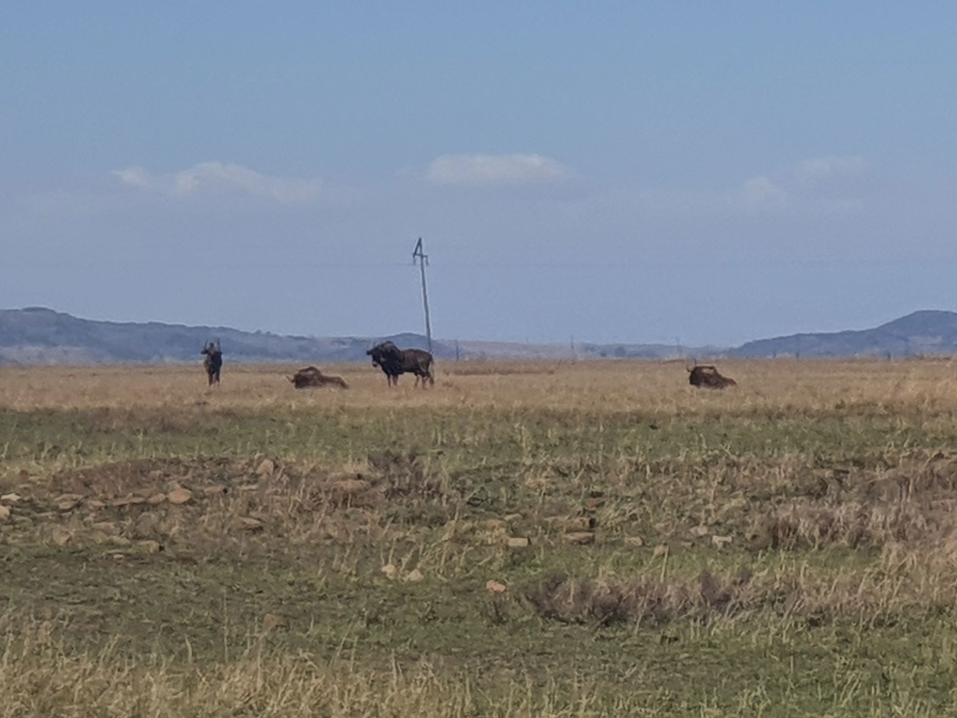 Farm vacant land for sale in Vaal Dam, Free State - 1VT1683849