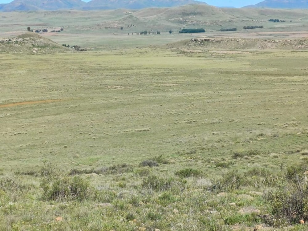 Livestock farm for sale in Dordrecht - 1MH1683818