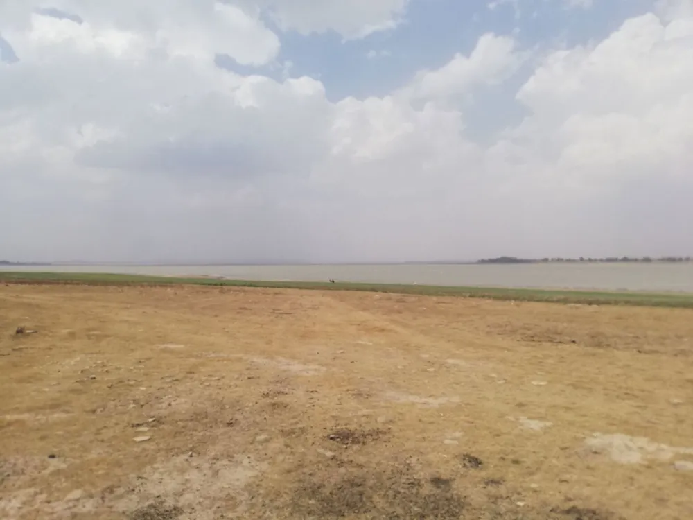 Farm vacant land sold in Vaaldam SH - 1VT1683854 Farm vacant land sold in Vaaldam SH - 1VT1683854
