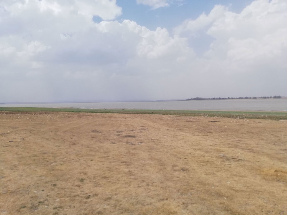 Farm vacant land sold in Vaaldam SH - 1VT1683854 Farm vacant land sold in Vaaldam SH - 1VT1683854