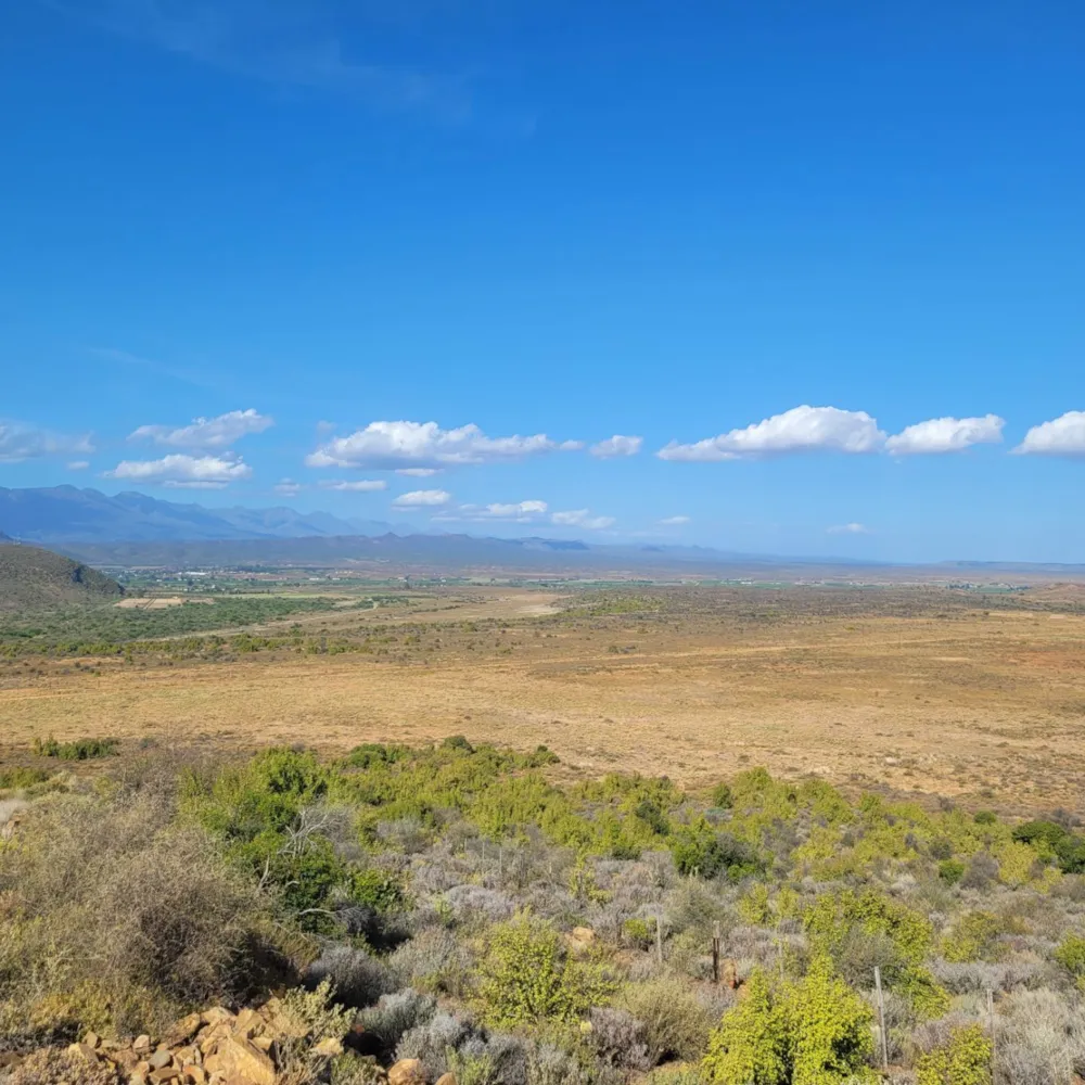 Farm vacant land sold in Calitzdorp - 1OU1684056 Farm vacant land sold in Calitzdorp - 1OU1684056