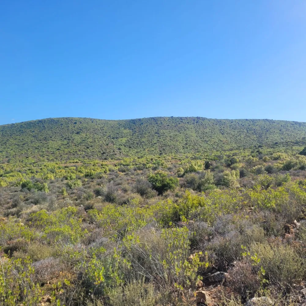 Farm vacant land sold in Calitzdorp - 1OU1684056 Farm vacant land sold in Calitzdorp - 1OU1684056